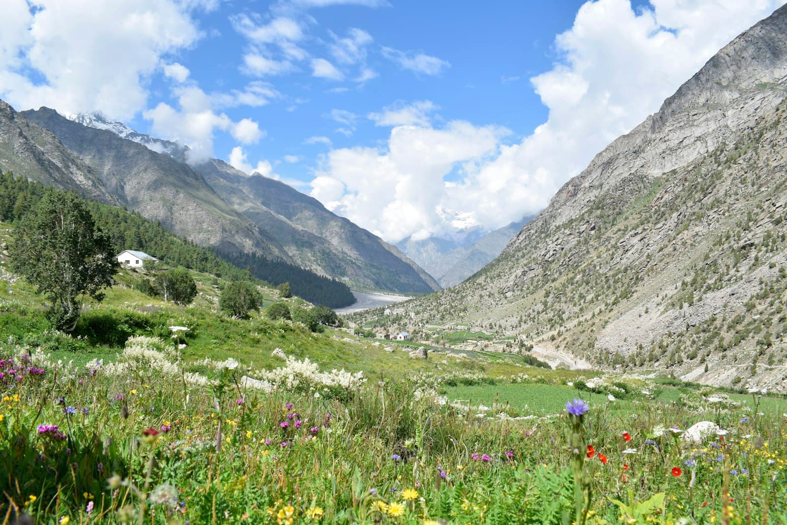 Green Himalayan valley in bloom in Uttarakhand
